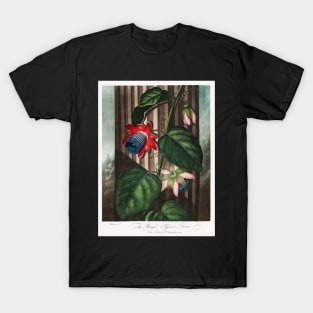 The Winged Passion-flower T-Shirt